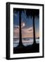 Between The Trees A Lovely View Of The Peeling Waves And Sunset At Refugio State Park, California-Daniel Kuras-Framed Photographic Print