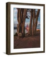 Between the Trees-Bruce Getty-Framed Photographic Print