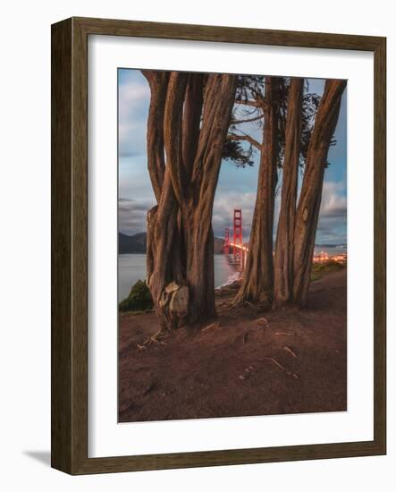 Between the Trees-Bruce Getty-Framed Photographic Print