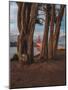 Between the Trees-Bruce Getty-Mounted Photographic Print