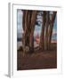 Between the Trees-Bruce Getty-Framed Photographic Print