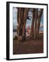 Between the Trees-Bruce Getty-Framed Photographic Print
