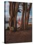 Between the Trees-Bruce Getty-Stretched Canvas