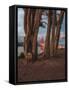 Between the Trees-Bruce Getty-Framed Stretched Canvas