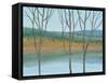 Between Water III-Tim OToole-Framed Stretched Canvas