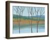 Between Water III-Tim OToole-Framed Art Print