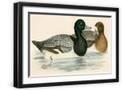 Black Frame