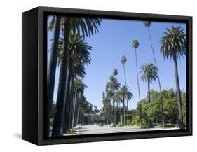 Beverly Drive, Beverly Hills, California, USA-Ethel Davies-Framed Stretched Canvas