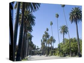 Beverly Drive, Beverly Hills, California, USA-Ethel Davies-Stretched Canvas