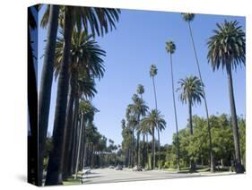 Beverly Drive, Beverly Hills, California, USA-Ethel Davies-Stretched Canvas