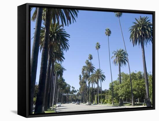 Beverly Drive, Beverly Hills, California, USA-Ethel Davies-Framed Stretched Canvas