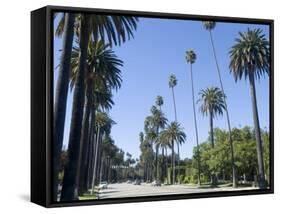 Beverly Drive, Beverly Hills, California, USA-Ethel Davies-Framed Stretched Canvas