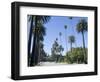 Beverly Drive, Beverly Hills, California, USA-Ethel Davies-Framed Photographic Print