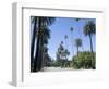 Beverly Drive, Beverly Hills, California, USA-Ethel Davies-Framed Photographic Print