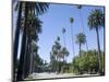 Beverly Drive, Beverly Hills, California, USA-Ethel Davies-Mounted Photographic Print