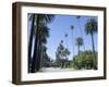 Beverly Drive, Beverly Hills, California, USA-Ethel Davies-Framed Photographic Print