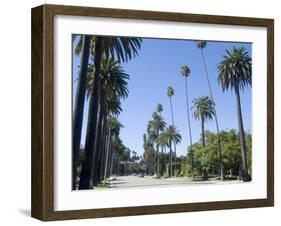 Beverly Drive, Beverly Hills, California, USA-Ethel Davies-Framed Photographic Print