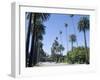 Beverly Drive, Beverly Hills, California, USA-Ethel Davies-Framed Photographic Print