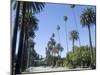 Beverly Drive, Beverly Hills, California, USA-Ethel Davies-Mounted Photographic Print
