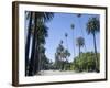 Beverly Drive, Beverly Hills, California, USA-Ethel Davies-Framed Photographic Print
