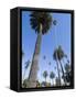 Beverly Drive, Beverly Hills, California, USA-Ethel Davies-Framed Stretched Canvas