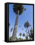 Beverly Drive, Beverly Hills, California, USA-Ethel Davies-Framed Stretched Canvas