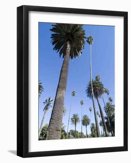 Beverly Drive, Beverly Hills, California, USA-Ethel Davies-Framed Photographic Print