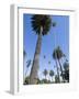 Beverly Drive, Beverly Hills, California, USA-Ethel Davies-Framed Photographic Print