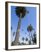 Beverly Drive, Beverly Hills, California, USA-Ethel Davies-Framed Photographic Print