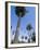 Beverly Drive, Beverly Hills, California, USA-Ethel Davies-Framed Photographic Print