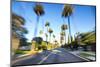 Beverly Hills Drive through with Motion Blur.-SeanPavonePhoto-Mounted Photographic Print