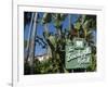 Beverly Hills Hotel, Beverly Hills, California, USA-Ethel Davies-Framed Photographic Print