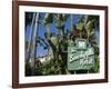 Beverly Hills Hotel, Beverly Hills, California, USA-Ethel Davies-Framed Photographic Print