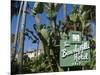 Beverly Hills Hotel, Beverly Hills, California, USA-Ethel Davies-Mounted Photographic Print