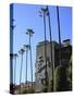 Beverly Hills Hotel, Beverly Hills, Los Angeles, California, Usa-Wendy Connett-Stretched Canvas