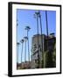 Beverly Hills Hotel, Beverly Hills, Los Angeles, California, Usa-Wendy Connett-Framed Photographic Print