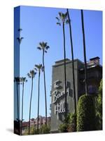 Beverly Hills Hotel, Beverly Hills, Los Angeles, California, Usa-Wendy Connett-Stretched Canvas