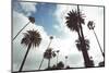 Beverly Hills-Oneinchpunch-Mounted Photographic Print