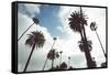 Beverly Hills-Oneinchpunch-Framed Stretched Canvas