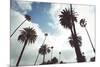 Beverly Hills-Oneinchpunch-Mounted Photographic Print