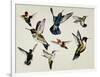 Bevy of Birds-Sydney Edmunds-Framed Giclee Print