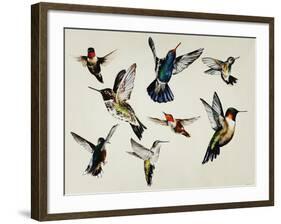 Bevy of Birds-Sydney Edmunds-Framed Giclee Print