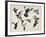 Bevy of Birds-Sydney Edmunds-Framed Giclee Print