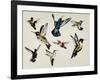 Bevy of Birds-Sydney Edmunds-Framed Giclee Print