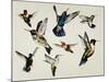 Bevy of Birds-Sydney Edmunds-Mounted Giclee Print