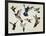 Bevy of Birds-Sydney Edmunds-Framed Giclee Print