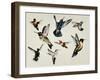 Bevy of Birds-Sydney Edmunds-Framed Giclee Print