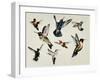 Bevy of Birds-Sydney Edmunds-Framed Giclee Print
