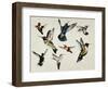 Bevy of Birds-Sydney Edmunds-Framed Giclee Print