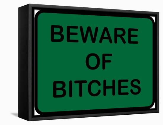 Beware of Bitches-null-Framed Stretched Canvas